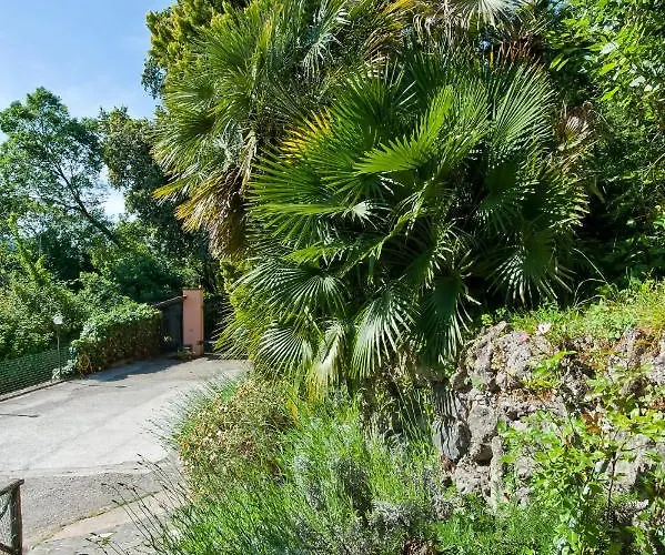 Villa Villalbert Castel Gandolfo